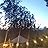 Awatar Zen Yurt